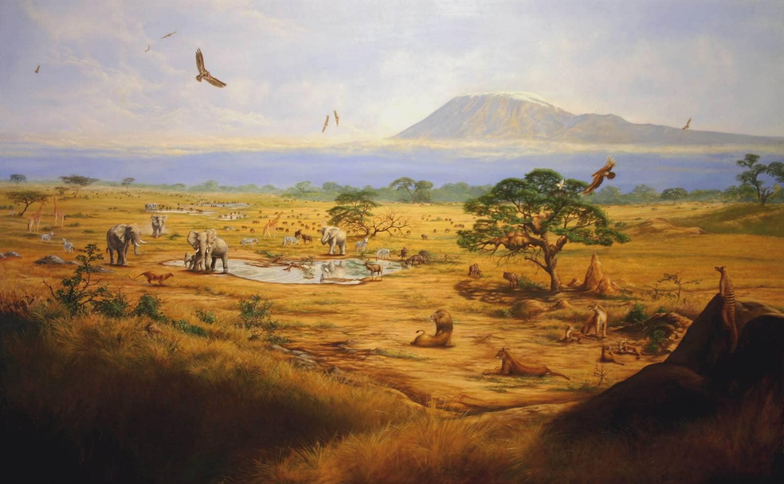 Nature | Paintings